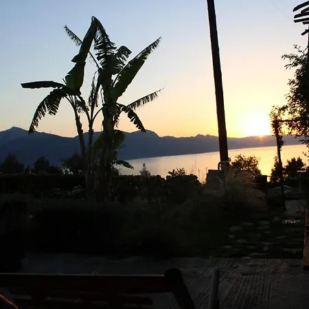 Levanda Home
