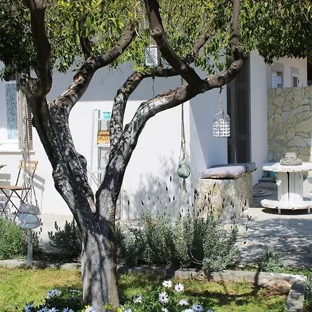 Levanda Home